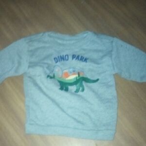 Dino Park Gray Kids Sweatshirt